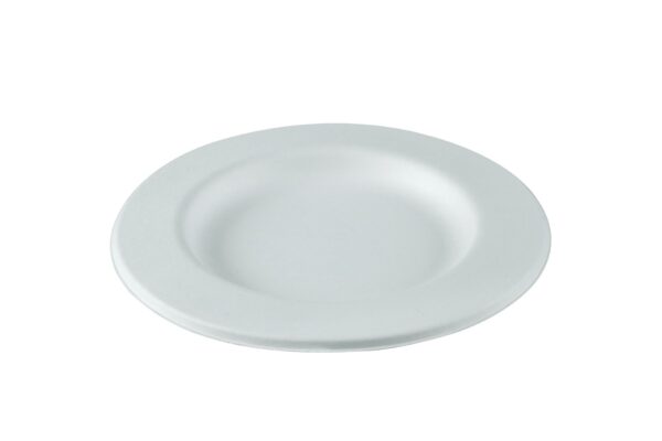 plus plato de caña de azucar blanco 260mm(16*50)