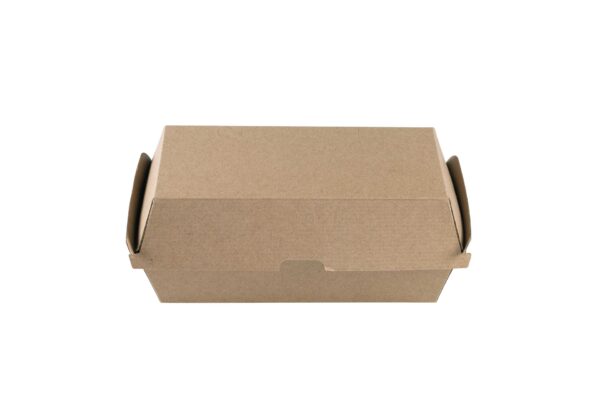 Hot dog microcanal kraft mediana 205*110*85mm(8*25